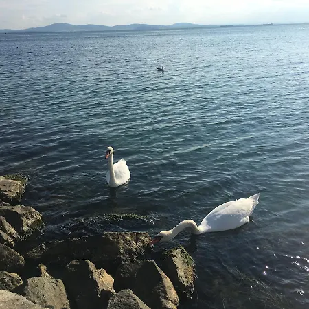 Solna Apartamento Pomorie